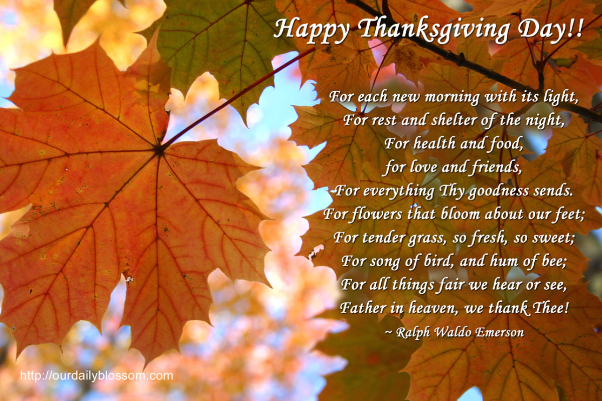 42904ThanksgivingQuote Woodlands South